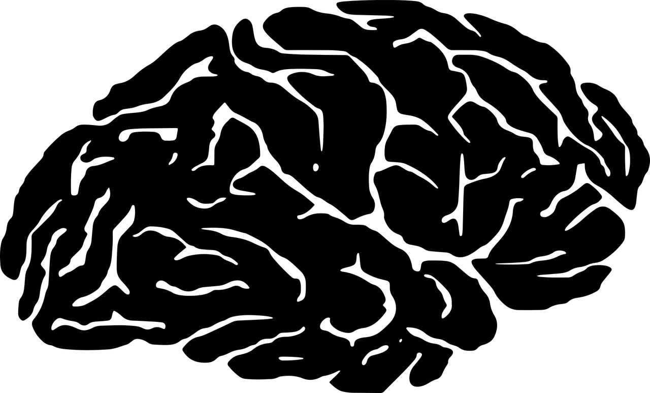 brain-1299830_1280
