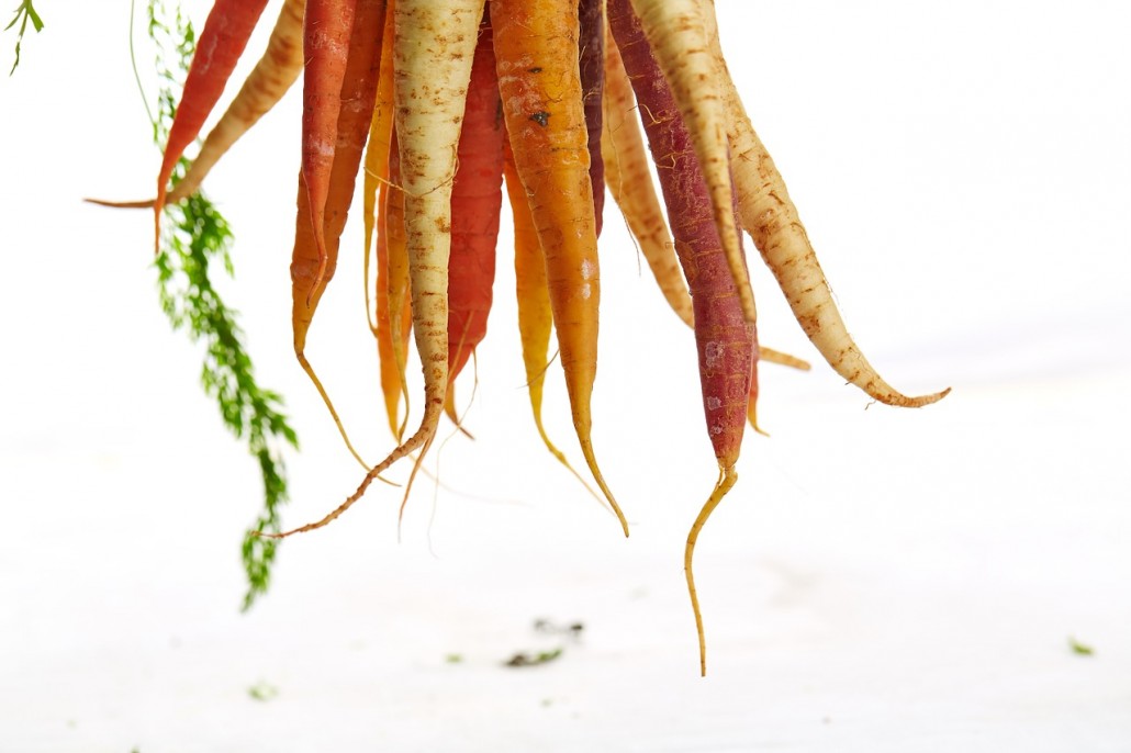 carrots-1149173_1280