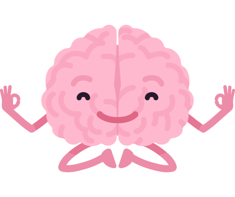 Default mode network. hjernero